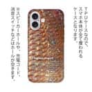 【TPU】マダイのウロコ