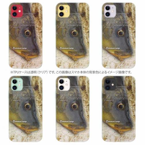 【TPU】コイ(カープ)