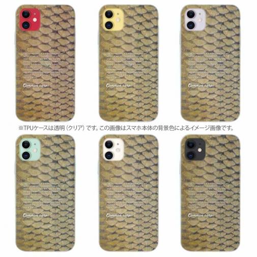 【TPU】コイのウロコ