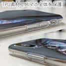 【TPU】海のギャング・タチウオ