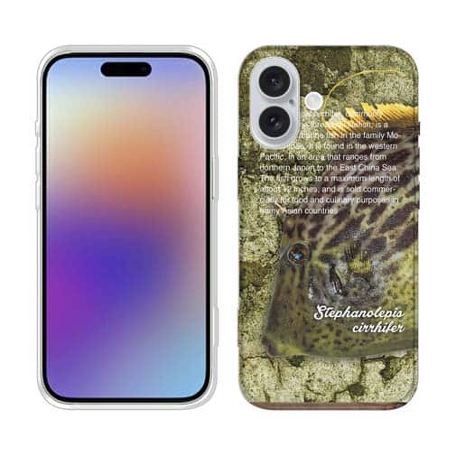 【TPU】カワハギ