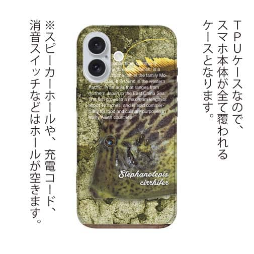 【TPU】カワハギ