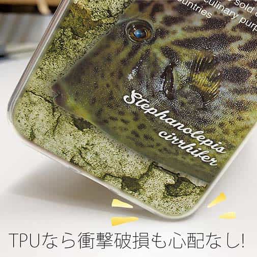 【TPU】カワハギ