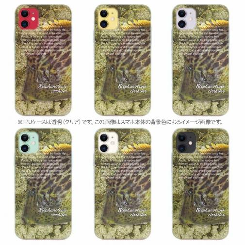 【TPU】カワハギ