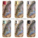 【TPU】タマン(ハマフエフキ)