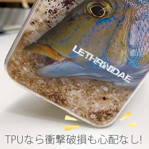 【TPU】タマン(ハマフエフキ)