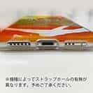 【TPU】1091(イレグイ)