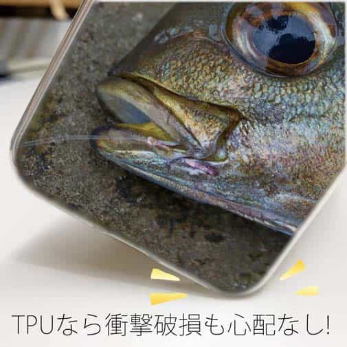 【TPU】イサキ