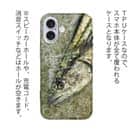 【TPU】表層のギャング・サワラ