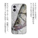 【TPU】ヒラスズキの目