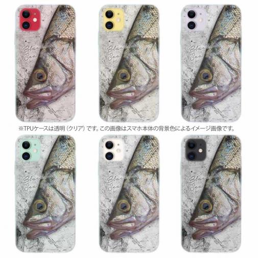 【TPU】ヒラスズキの目