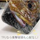【TPU】マーブルドロックフィッシュ　カサゴ
