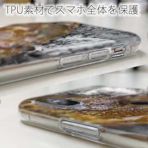 【TPU】マーブルドロックフィッシュ　カサゴ