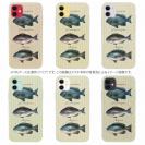 【TPU】メジナの仲間