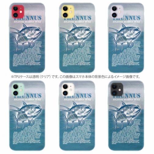 【TPU】マグロの種類は5種類