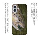 【TPU】ブラウントラウトの目