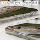 【TPU】ブラウントラウトの目