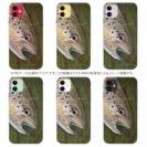 【TPU】ブラウントラウトの目