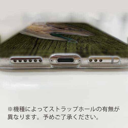 【TPU】ブラウントラウトの目