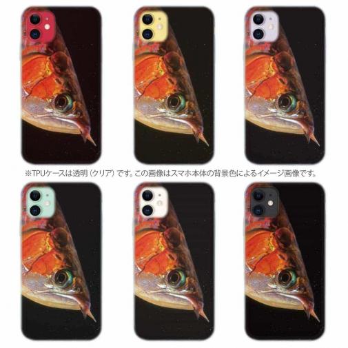 【TPU】アロワナの目