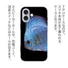 【TPU】ディスカス　ブルー