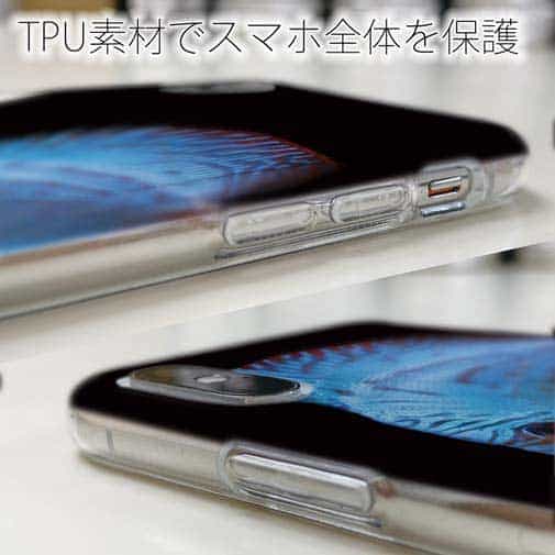 【TPU】ディスカス　ブルー