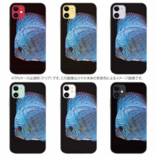 【TPU】ディスカス　ブルー