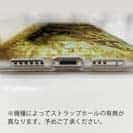 【TPU】ヘラブナ　鉄錆