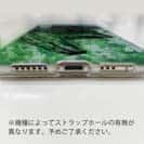 【TPU】ブラックバス　錆鉄