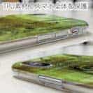 【TPU】マアジ　鉄錆