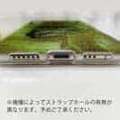 【TPU】マアジ　鉄錆