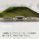 【TPU】パイク　鉄錆