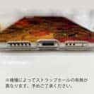 【TPU】アオリイカ　鉄錆