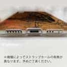 【TPU】カンパチ　鉄錆