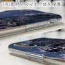 【TPU】イシガキダイ(クチジロ)　鉄錆