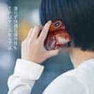 【TPU】アカムツ(ロージーシーバス)