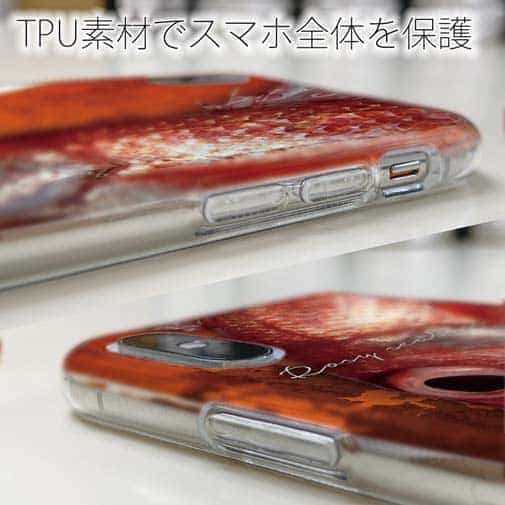 【TPU】アカムツ(ロージーシーバス)