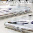 【TPU】鯉の三つ巴