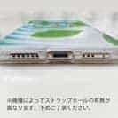 【TPU】2匹のコイ