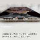 【TPU】ケンサキイカ