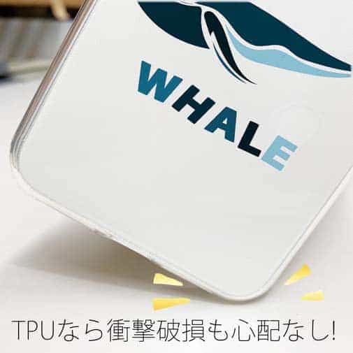 【TPU】ホエールウォッチング