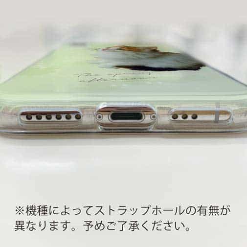 【TPU】春の午後　蝶と子猫