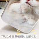 【TPU】昼寝する猫(ネコ)