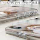 【TPU】昼寝する猫(ネコ)