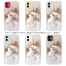 【TPU】昼寝する猫(ネコ)
