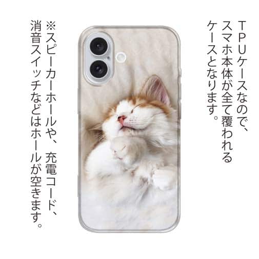 【TPU】昼寝する猫(ネコ)