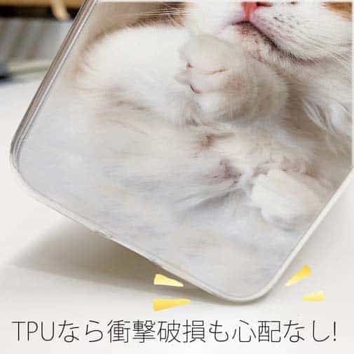 【TPU】昼寝する猫(ネコ)