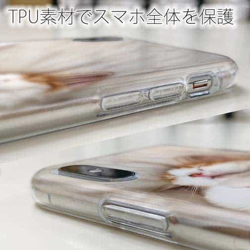 【TPU】昼寝する猫(ネコ)