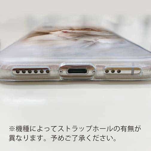 【TPU】昼寝する猫(ネコ)