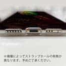 【TPU】ダイワ　バスジャッカー2 BASS JACKER 2 に憧れた